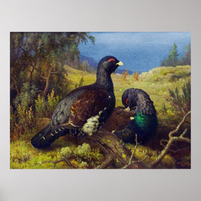 Två vackra fåglar poster (Framsidan)