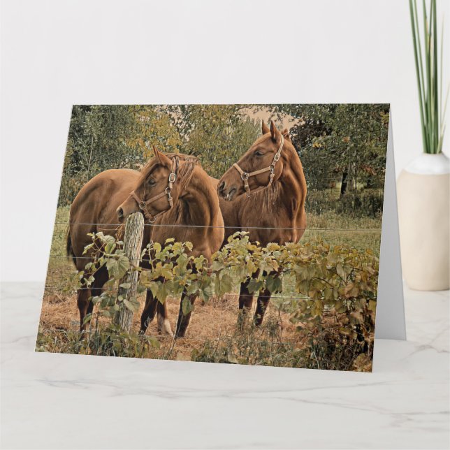 Två vackra hästar - Grattis på födelsedagen Card Kort (Framsida)