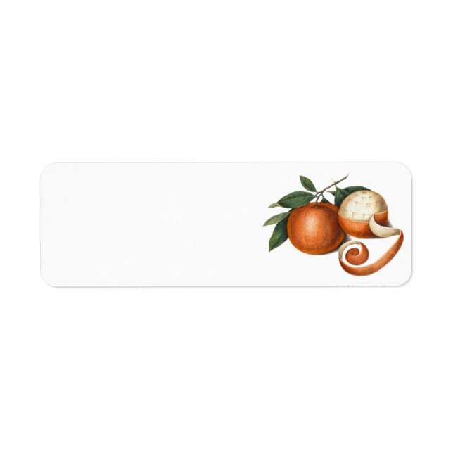 Två vackra Orangar - Antique-målning Returadress Etikett (Framsidan)