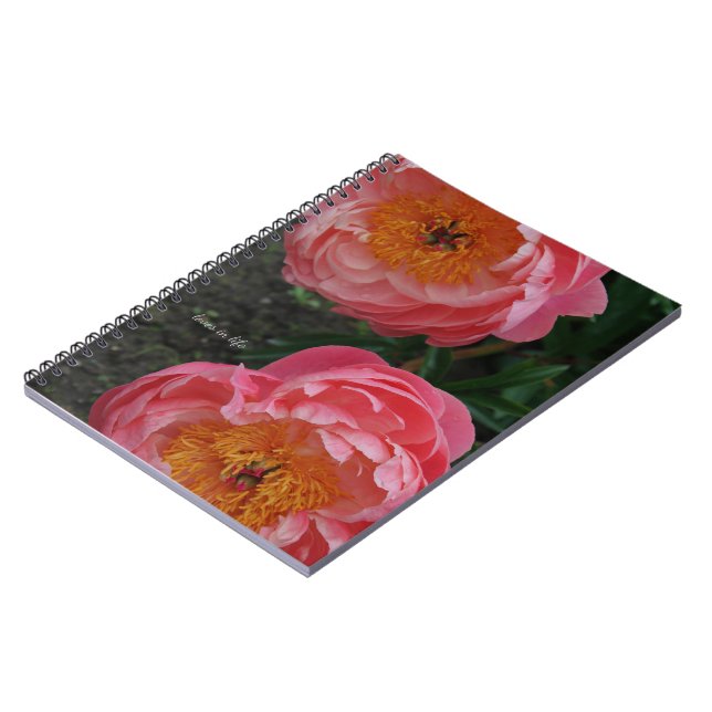 Två vackra Rosa Peonies Anteckningsbok (Vänstra Sidan)