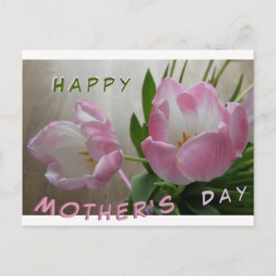 Två vackra Rosa Tulips Mors dag vykort
