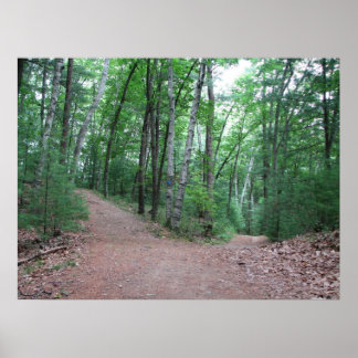 Två vägar som är uppdelade i Gult Poster