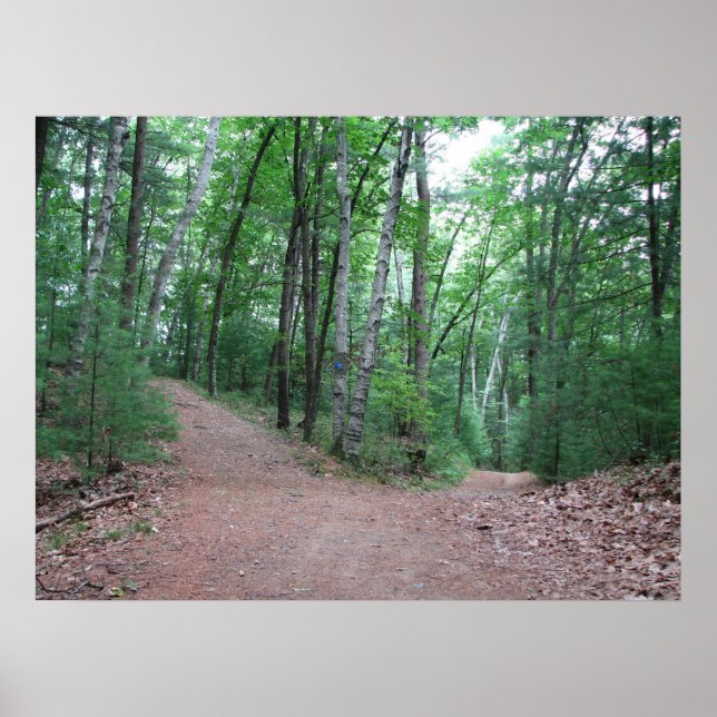 Två vägar som är uppdelade i Gult Poster (Framsidan)