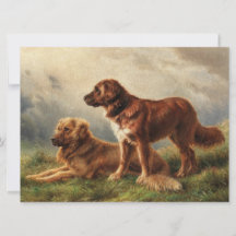 Två vaksamma Hundar