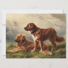 Två vaksamma Hundar Kort