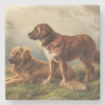 Två vaksamma Hundar