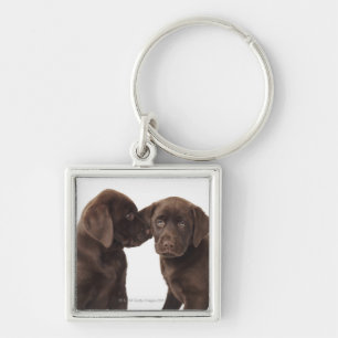 Två valpar för chokladLabrador Retriever Fyrkantig Silverfärgad Nyckelring