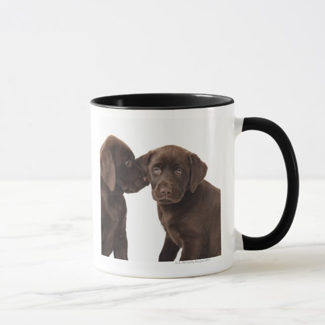 Två valpar för chokladLabrador Retriever Mugg (Höger)