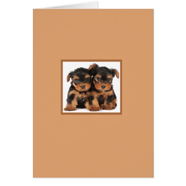 Två valpar hälsningskort (Framsidan)