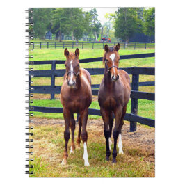 Två vänner anteckningsbok