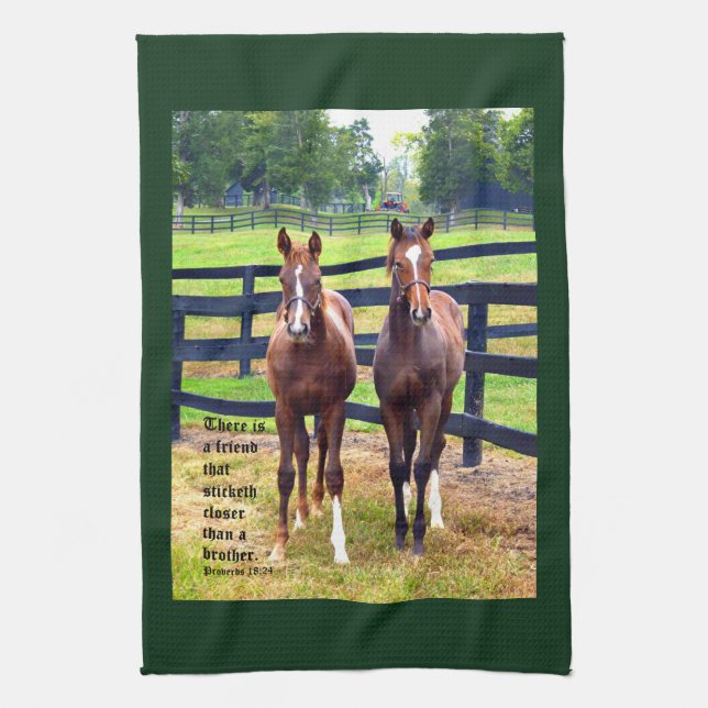 Två vänner med ordspråk 18:24 kökshandduk (Vertikal)