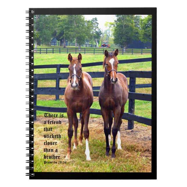 Två vänner med Ordspråksboken 18:24 Anteckningsbok (Framsidan)