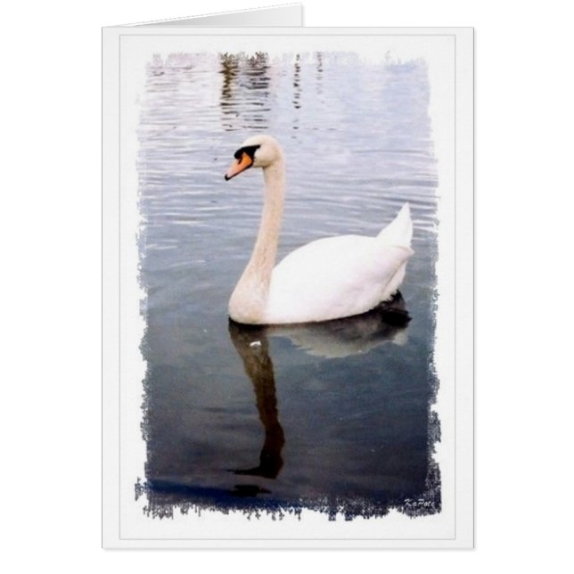 Två varaktiga frågor hälsningskort (Framsidan)