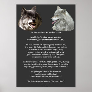 TVÅ VARGAR Poster CHEROKEE TALE Art