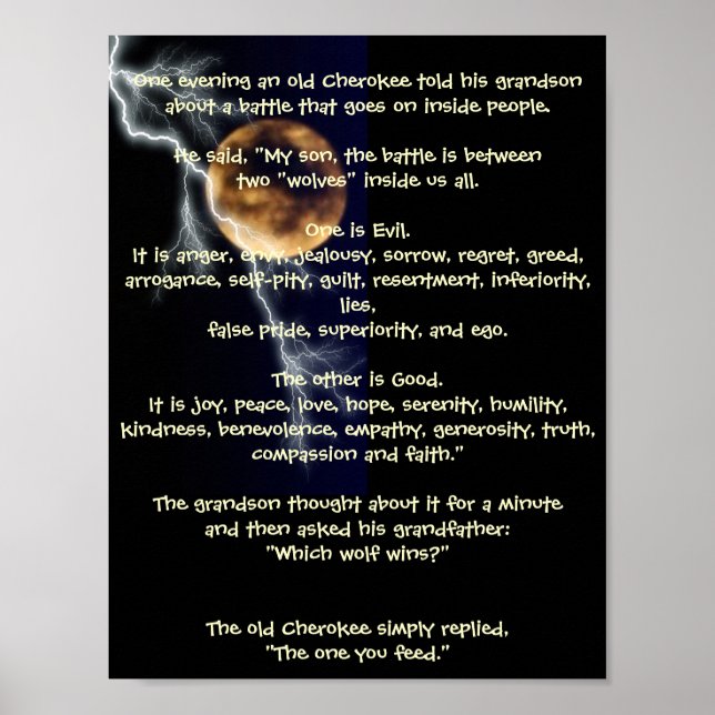 Två Varger - Inbyggd amerikansk metafor Poster (Framsidan)