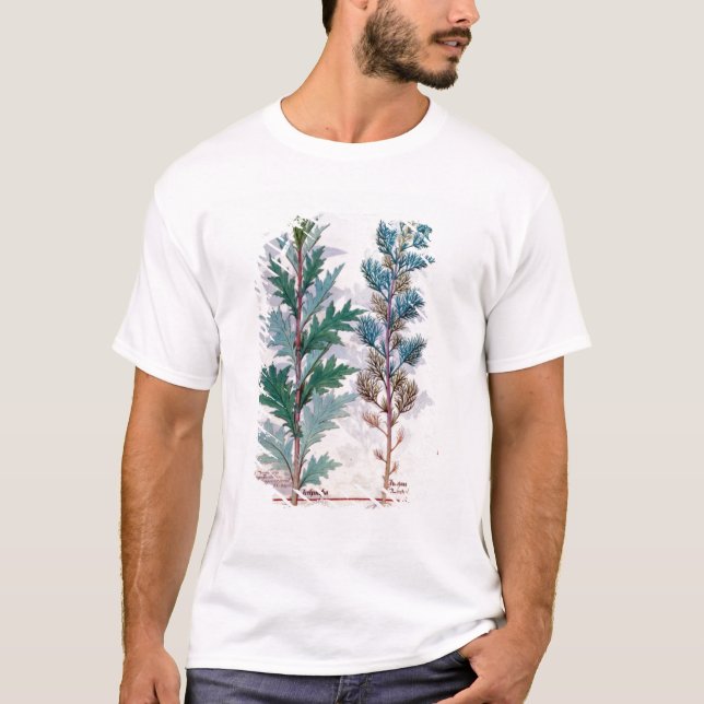 Två variationer av Artemesia Tee Shirt (Framsida)