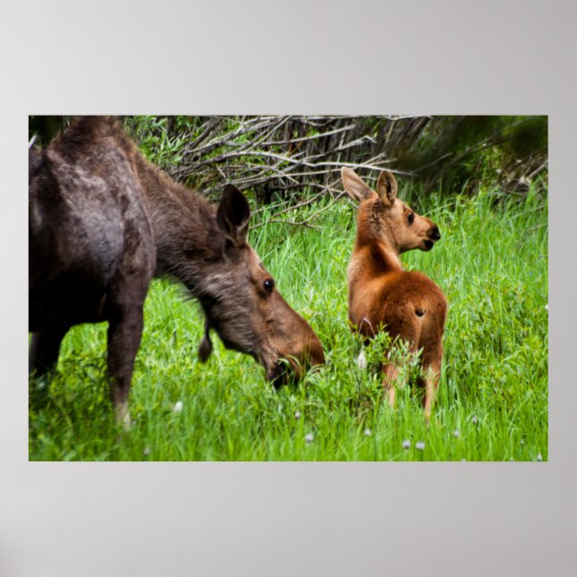 Två varningar i Mor och Baby Poster (Framsidan)