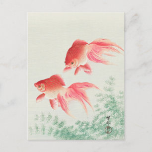 Två Veil Goldfish Painting av Ohara Koson Vykort