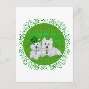 Två vilande Westies på St Patricks Day Vykort