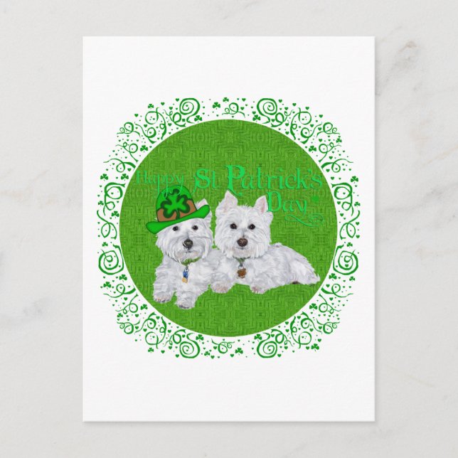 Två vilande Westies på St Patricks Day Vykort (Framsida)