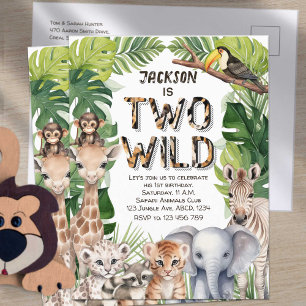 Två Vilder Jungle Safari, pojke två födelsedag Inbjudan Vykort