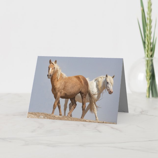 Två Vilder Mares Vild Horse Greeting Card Kort (Framsida)