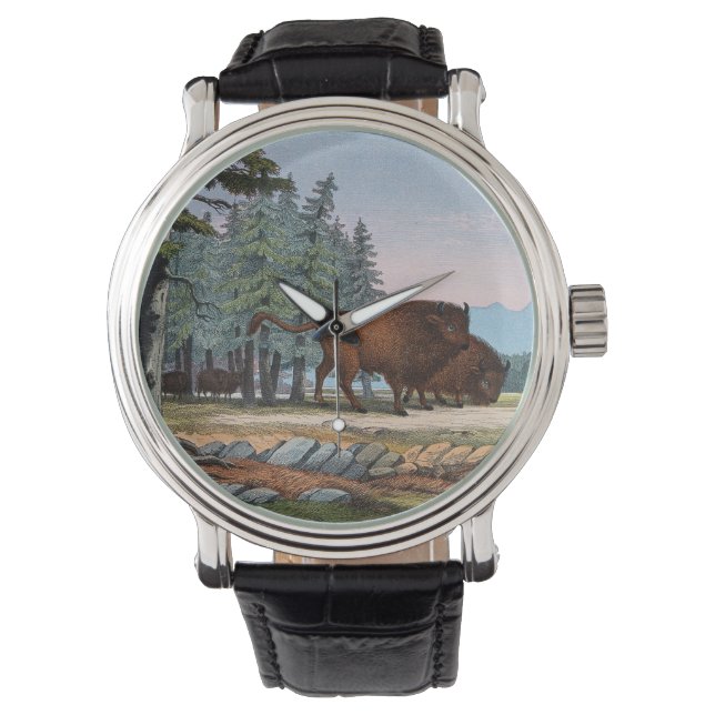 Två vilder oxen. Färgad litografi Armbandsur (Framsida)