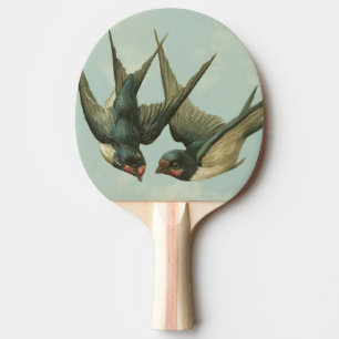 Två Vintagar Sväljer Pingisracket