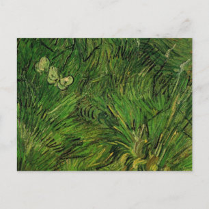 Två vita fjärilar av Vincent van Gogh Vykort