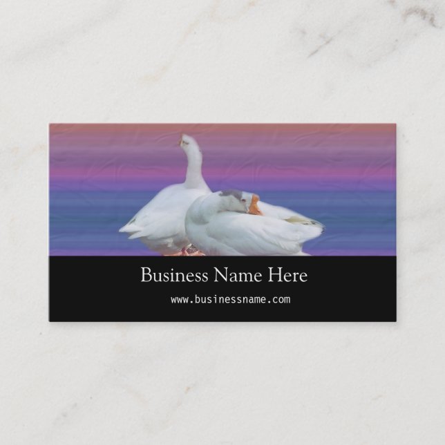 två vita gäss i färg visitkort (Framsida)