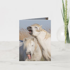 Två vita häftklamrar Yawn Horse Greeting Card Kort