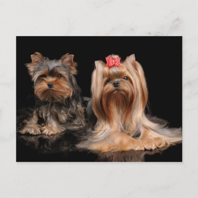 Två Vykort (Framsida)