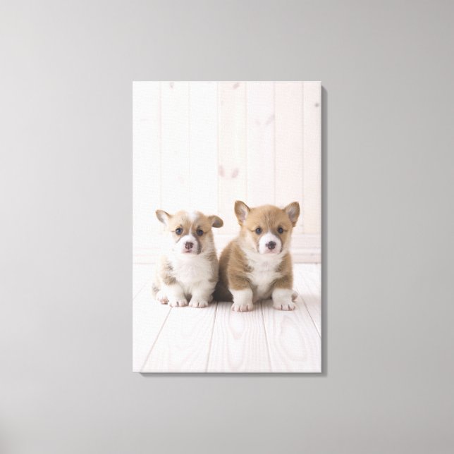 Två walesiska Corgi Sitta Canvastryck (Framsida)