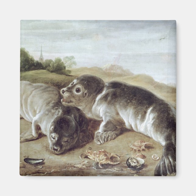 Två Young Sälar på Shore, 1650 Magnet (Framsidan)