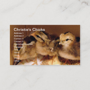 Tvådagars Chickar, kristnas Chickar Visitkort