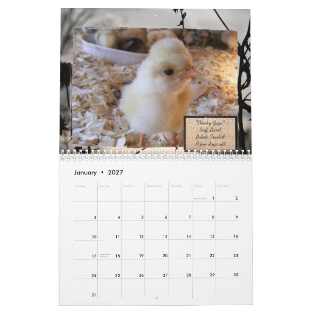 Tvångsmässig feg oordningkalender kalender (Jan 2027)