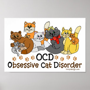 Tvångsmässig kattoordning för OCD Poster