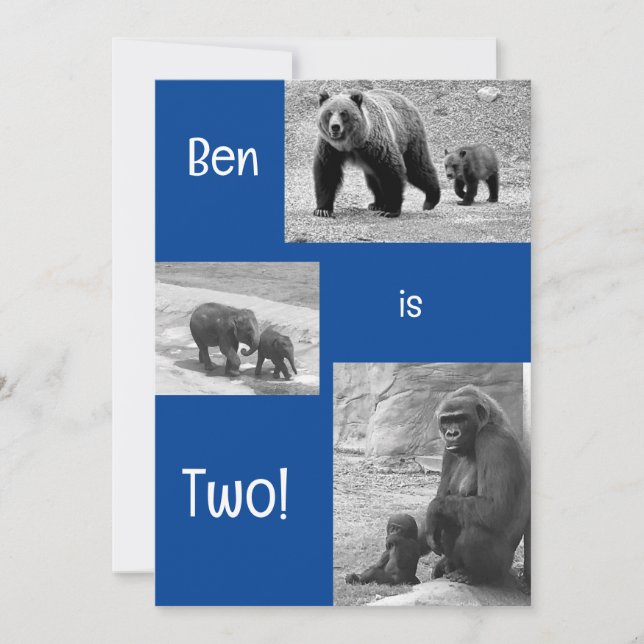 Tvårafik Zoo Födelsedagsfest inbjudan (Framsida)