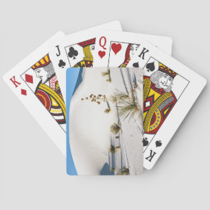 Tvärgående dyner och Soaptree Yucca Casinokort