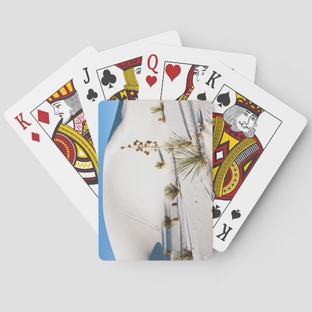 Tvärgående dyner och Soaptree Yucca Casinokort (Baksidan)