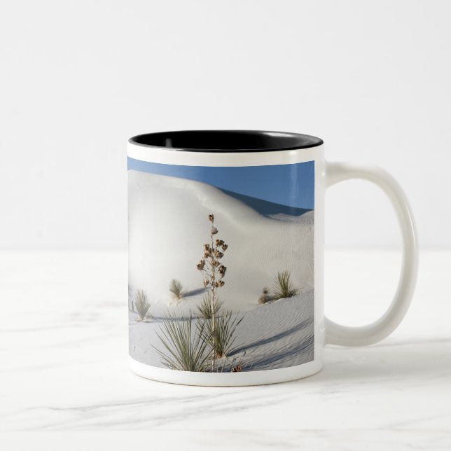 Tvärgående dyner och Soaptree Yucca Två-Tonad Mugg (Höger)