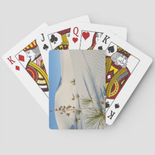 Tvärgående dyner, Yucca, skuggor Kortlek