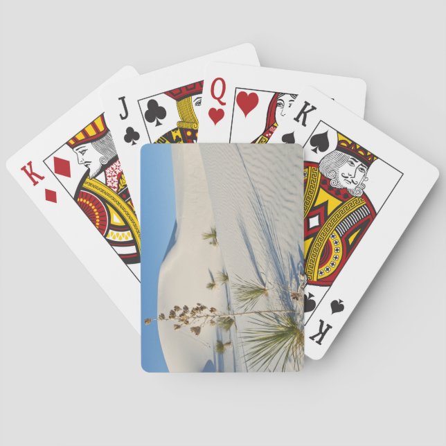 Tvärgående dyner, Yucca, skuggor Kortlek (Baksidan)