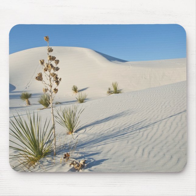 Tvärgående dyner, Yucca, skuggor Musmatta (Framsidan)