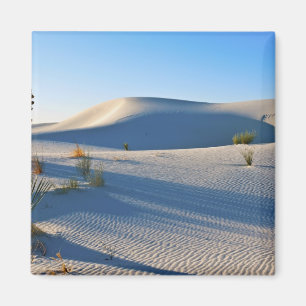 Tvärgående dyner, Yucca, tidig morgonljus Magnet