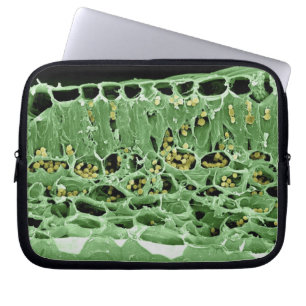 Tvärsnitt av löv laptop sleeve
