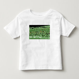 Tvärsnitt av löv t shirt
