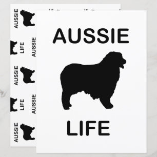 tvåsidig australian shepherd vid liv