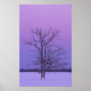 Tvåstammad träd vid soluppgång; Chippewa County, Poster