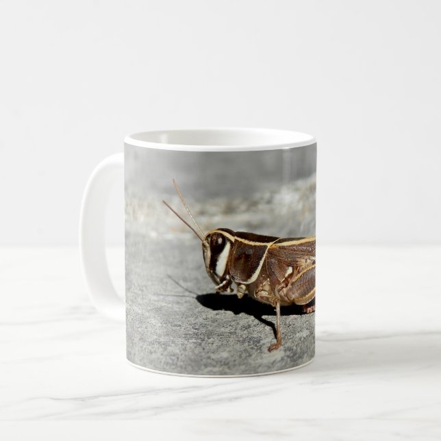 Tvåstjärtad gräshoppor Kryp Mugg (Framsida vänster)
